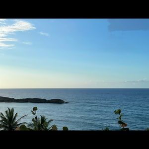 Meet your Posher, Rosa